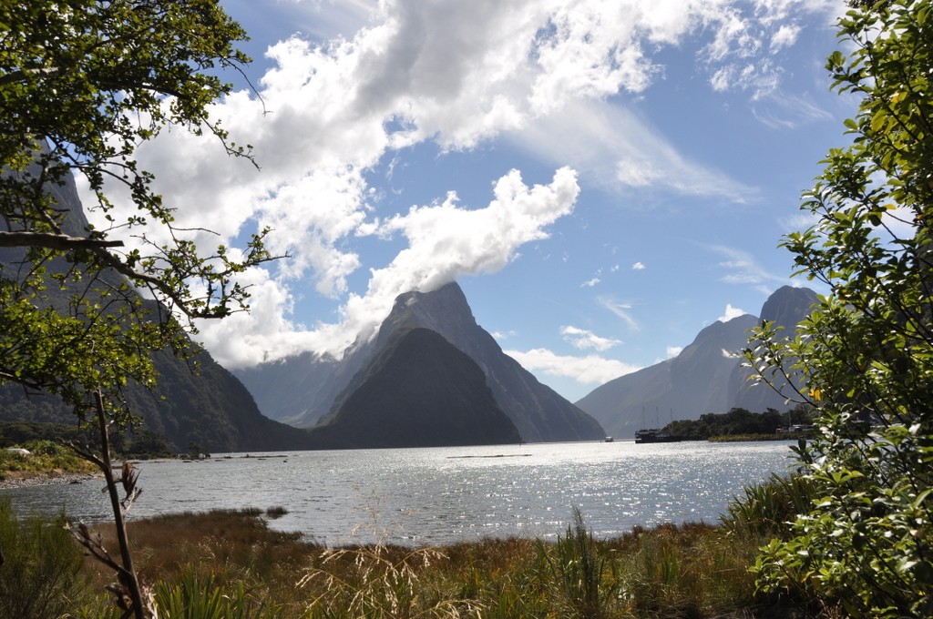 Final glimpse of Milford Sound before the twisty drive back.